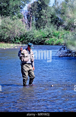 Fly fishing the Ruby River in Montana Stock Photo - Alamy