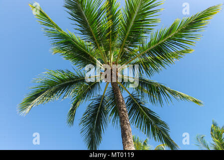 Beautiful landscapes abstract and texture forms by the beach Stock Photo