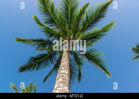 Beautiful landscapes abstract and texture forms by the beach Stock Photo