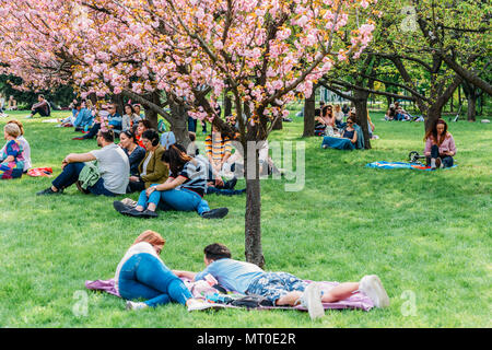 BUCHAREST, ROMANIA - APRIL 15, 2018: People Having Fun In Japanese Garden Of Herastrau Park On Weekend Spring Stock Photo