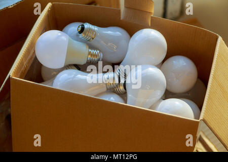 Packed electric bulbs rows of light bulbs in a cardboard box Stock Photo