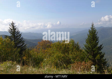 Mountain wilderness high elevation view from Mount Mitchell State Park in North Carolina, the highest peak of the Appalachian Mountains and in of main Stock Photo
