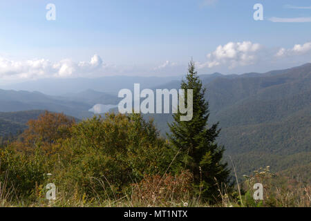 High peak wilderness view from Mount Mitchell State Park in North Carolina, the highest peak of the Appalachian Mountains and in of mainland eastern N Stock Photo