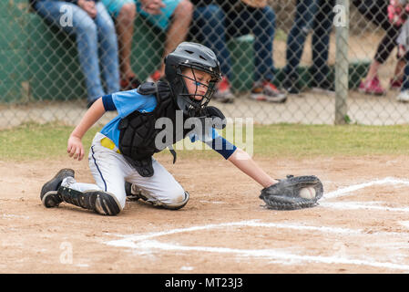 Agile little league baseball catcher lunging for a low pitch in the dirt in a cloud of chalk. Stock Photo