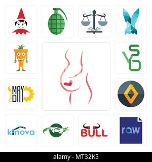 Set Of 13 simple editable icons such as gynaecologist, raw file, bull, crocs, kinova, renault, mayday, bvs, mascot can be used for mobile, web UI Stock Vector