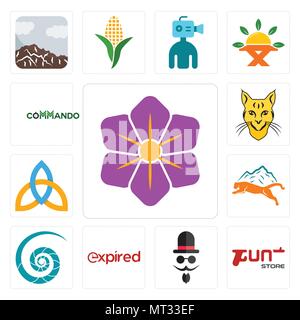 Set Of 13 simple editable icons such as saffron, gun store, mister, expi, nautilus shell, mountain lion, holy trinity, bobcat, commando can be used fo Stock Vector