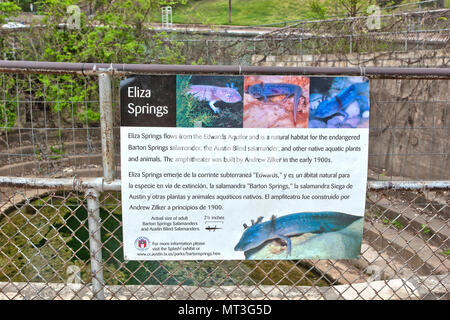 Sign, natural habitat for the endangered Barton Springs & Austin Blind Salamanders,  Eliza Springs flowing from Edwards Aquifer. Stock Photo