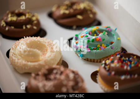 Decorated chocolate and vanilla cupcakes with sprinkles, in a box of six from a bakery. Stock Photo