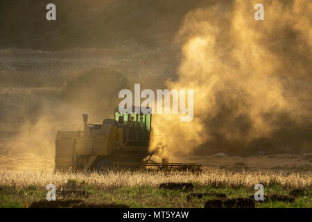 A New holland combine harvester working in a field near Rizokapaza, Northern Cyprus