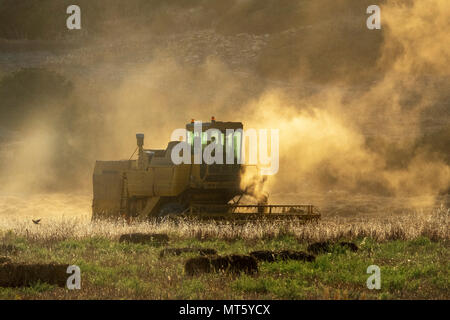 A New holland combine harvester working in a field near Rizokapaza, Northern Cyprus Stock Photo