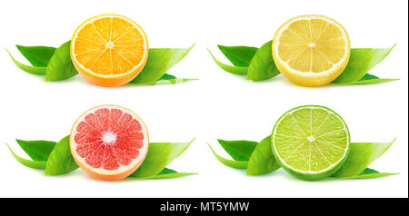 Collection of isolated citrus fruits. Halves of orange, lemon, grapefruit and lime over leaves isolated on white background with clipping path Stock Photo