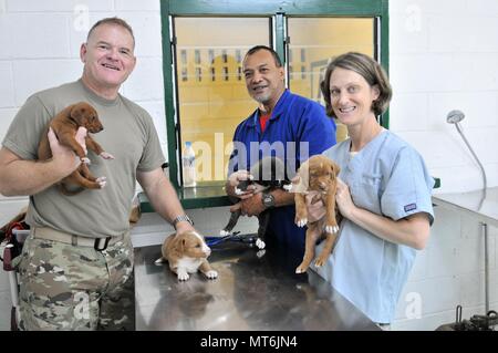 Lt. Col. Howard Gobble (left), the director of veterinary services for Public Health Command, Pacific, a Tongan veterinary tech (center) and Maj. Kimberly Yore (right), an Army vet from Joint Base Lewis-McChord in Washington state, pose with several puppies at the Tongan Ministry of Agriculture, Food, and Fisheries clinic in the Kingdom of Tonga, July 19, 2017. (U.S. Army National Guard photo by Sgt. Walter H. Lowell)    Animal care is free for the 100,000 people who live in Tonga, but they are without a Veterinarian and low on medication and supplies. Stock Photo