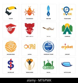 Set Of 16 simple editable icons such as auto glass, halal, snake head, us dollar, cricket, tucan, , golden rose, chisel can be used for mobile, web UI Stock Vector