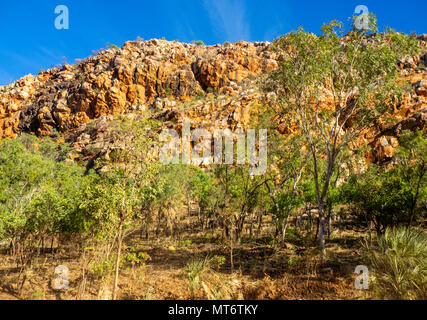 The red sandstone cliffs of the King Leopold Ranges and 4WD's at ...