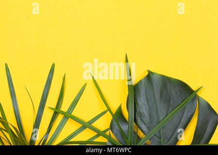 a monstera leaf on the yellow background Stock Photo