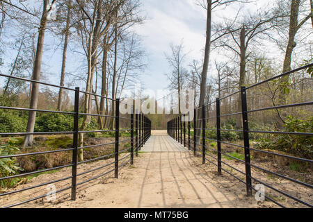 Walkway with new metal bridge in european forest Stock Photo