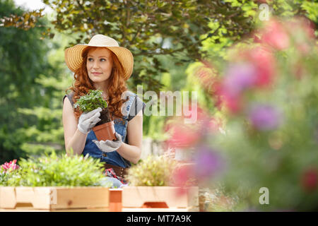 Young female florist taking care of her outdoors garden and planting homegrown herbs, flowers and plants Stock Photo