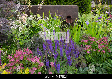 Water flowing from a pipe surrounded by plants including Salvia x sylvestris ‘Mainacht’, Iris versicolor and Astrantia in the Urban Flow Garden at The Stock Photo