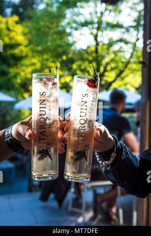 Glasses of gin and tonic at an event at Trebah Garden in Cornwall. Stock Photo