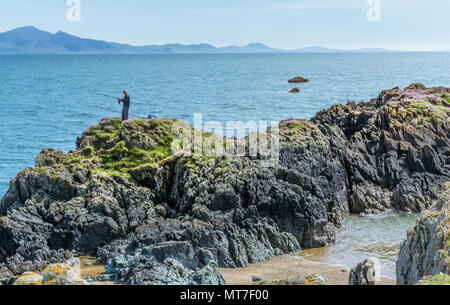 UK, Anglesey, Newborough. 19th May 2018. A fisherman cast out from the tip of Llanddwyn Island. Stock Photo