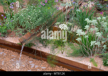 A rill feeding into a pond surrounded by plants incuding Daucus gingidium and Dorycnium pentaphyllum in the M&G Garden designed by Sarah Price at The  Stock Photo