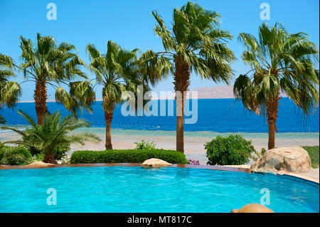 Summer palm trees on the coastal promenade overlooking the red sea and pool, travel concept in Egypt, Sharm El Sheikh Stock Photo