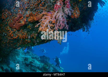 Scuba divers explore reef wall with soft corals under ledge in foreground. Raja Ampat, Indonesia.