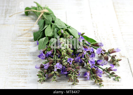 bunch of sage on wooden background Stock Photo