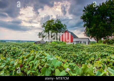 Iconic rural scenes of Midwest USA farm landscapes Stock Photo - Alamy