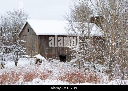 Iconic rural scenes of Midwest USA farm landscapes. Stock Photo