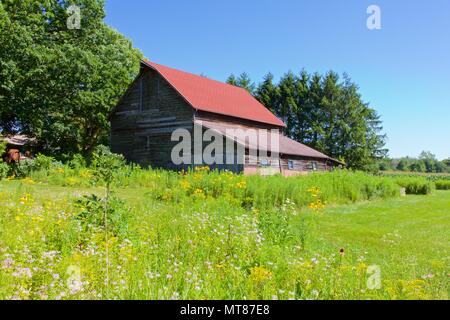 Iconic rural scenes of Midwest USA farm landscapes. Stock Photo