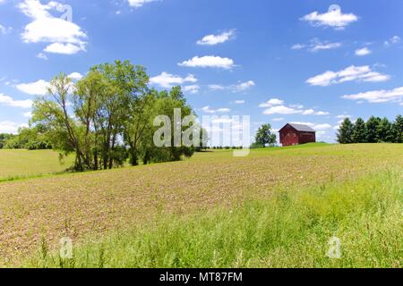 Iconic rural scenes of Midwest USA farm landscapes. Stock Photo