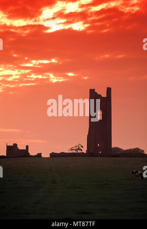 1990 HISTORICAL YELLOW STEEPLE ST MARY’S AUGUSTINIAN ABBEY RUINS TRIM COUNTY MEATH IRELAND Stock Photo