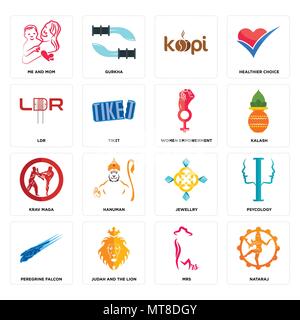Set Of 16 simple editable icons such as nataraj, mrs, judah and the lion, peregrine falcon, psycology, me mom, ldr, krav maga, women empowerment can b Stock Vector