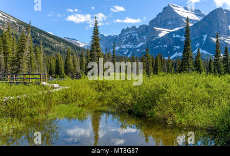 Spring Mountain - A close-up view of Mount Gould, Angel Wing and The Garden Wall from hiking trail at Lake Josephine in Glacier National Park, Montana Stock Photo