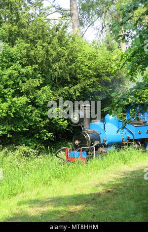 A bright blue steam engine on the garden railway at Adrian Shooter's The Beeches Light railway Stock Photo