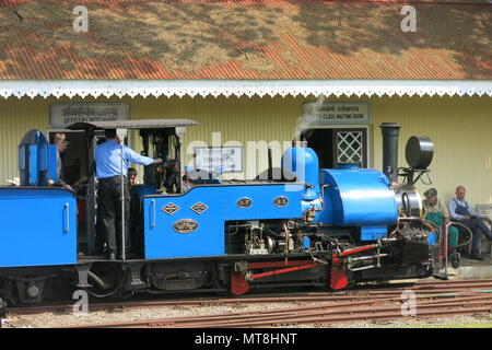 A bright blue steam engine on the garden railway at Adrian Shooter's The Beeches Light railway Stock Photo