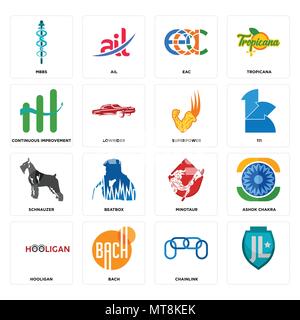 Set Of 16 simple editable icons such as, chainlink, bach, hooligan, ashok chakra, mbbs, continuous improvement, schnauzer, superpower can be used for  Stock Vector