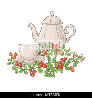 cranberry tea in teapot illustration on white background Stock Vector