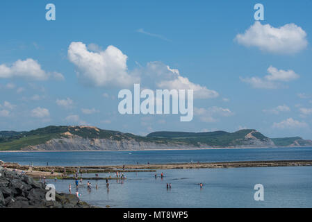 Lyme Regis, Dorset, UK. 28th May 2018. UK Weather. Visitors and holiday makers explore the beach and Jurassic Coast as temperatures rise once again in Lyme Regis over the Bank Holiday. Credit: DWR/Alamy Live News Stock Photo