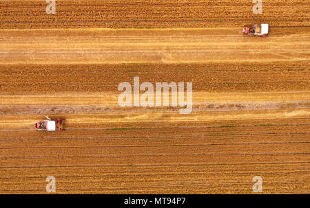 Yuncheng, China's Shanxi Province. 29th May, 2018. Harvesters collect wheat in the fields in Yuncheng, north China's Shanxi Province, May 29, 2018. Credit: Cao Yang/Xinhua/Alamy Live News Stock Photo