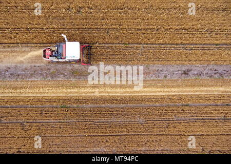 Yuncheng, China's Shanxi Province. 29th May, 2018. A harvester collects wheat in the fields in Yuncheng, north China's Shanxi Province, May 29, 2018. Credit: Cao Yang/Xinhua/Alamy Live News Stock Photo