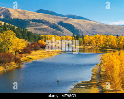 fisherman and fall colors along the bitterroot river near missoula, montana Stock Photo