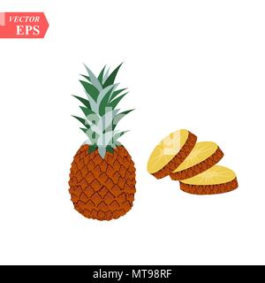 Whole pineapple with round slices and piece isolated on white background. Vector illustration. Stock Vector