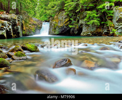 waterfall on granite creek in the cabinet mountains wilderness near libby, montana Stock Photo