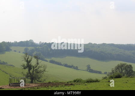 rolling farmland in surrey england Stock Photo