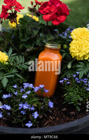 Organic juice in a jar Stock Photo