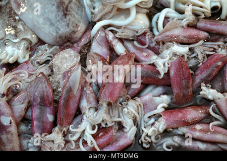 raw squid on the market Stock Photo