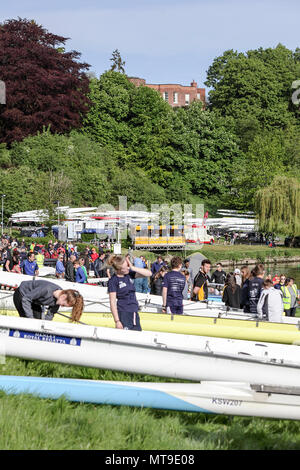 The Shrewsbury Regatta in May 2018. Various aspects of this annual event ranging from boat crews, boat houses and independent schools taking part . Stock Photo