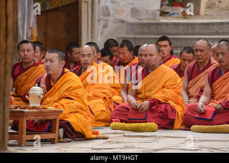 Gelukpa monks chanting, Labrang Monastery, Xiahe, Gansu, China Stock Photo